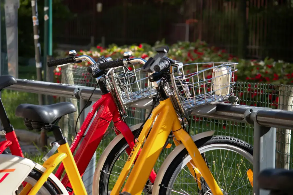Renting vélo KAMEO Bikes