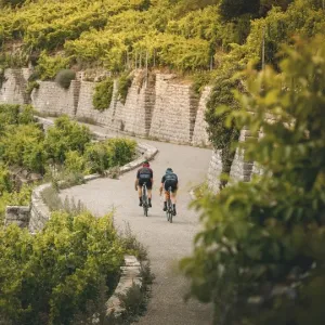 Route